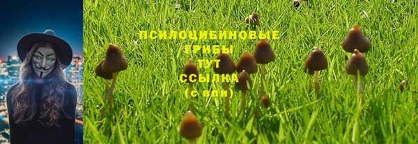 кокаин колумбия Абаза